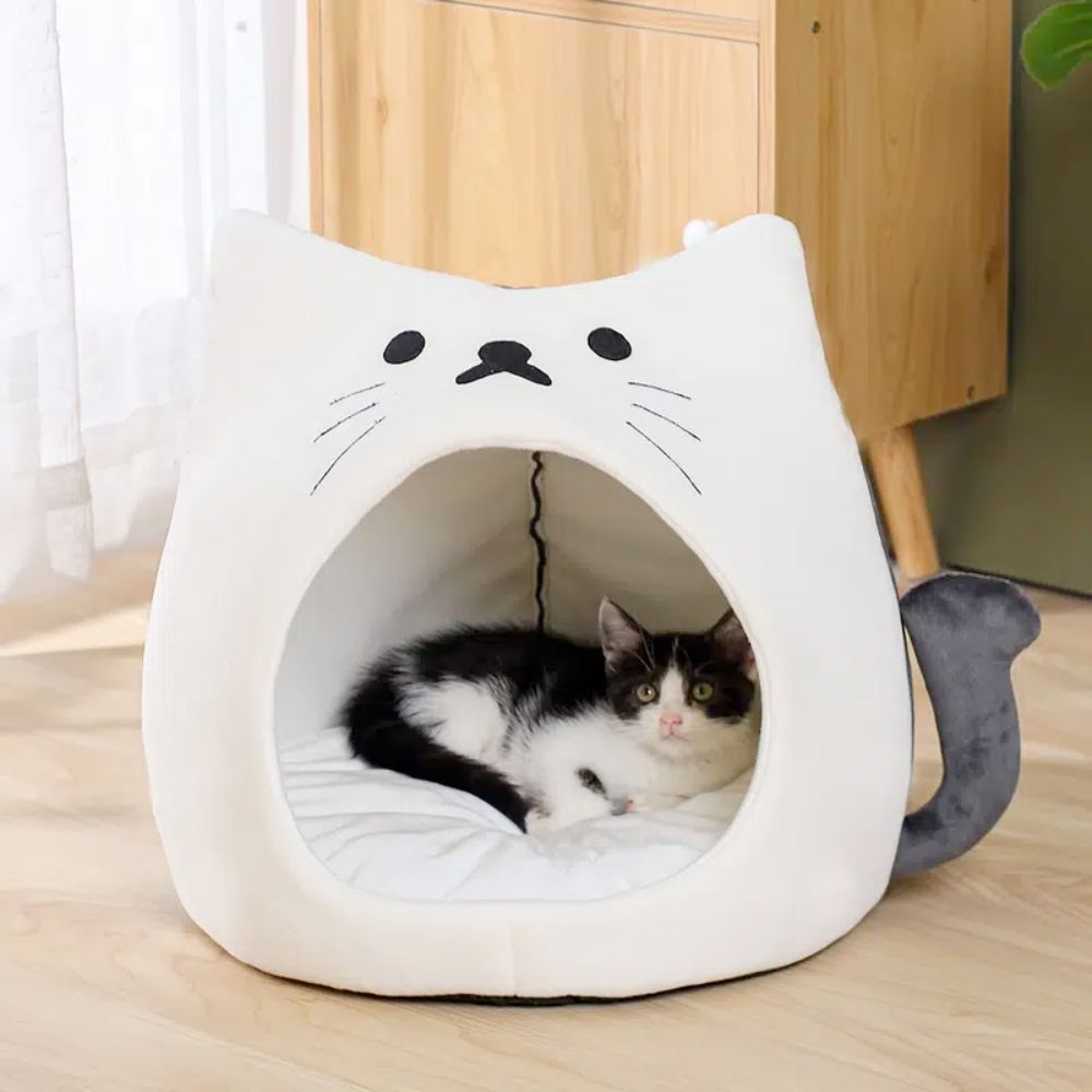 Cat Beds & Mats