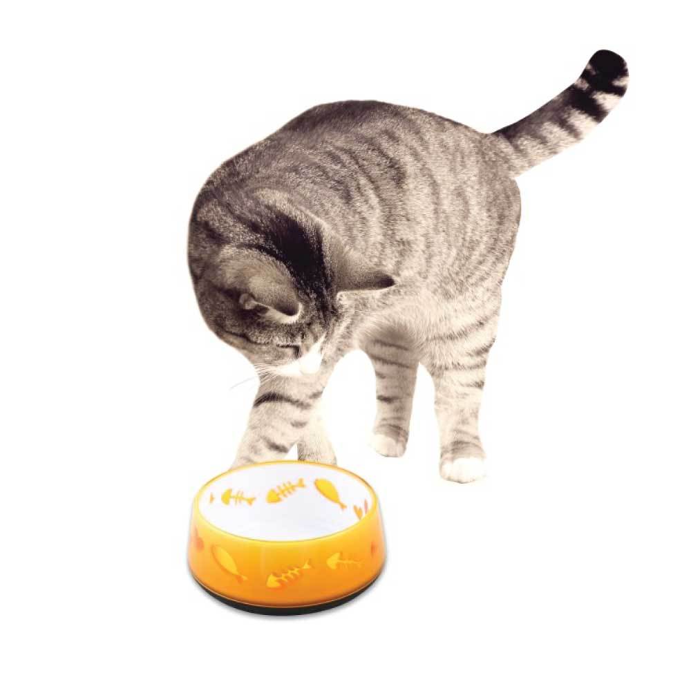 300ml Orange Cat Love Bowl