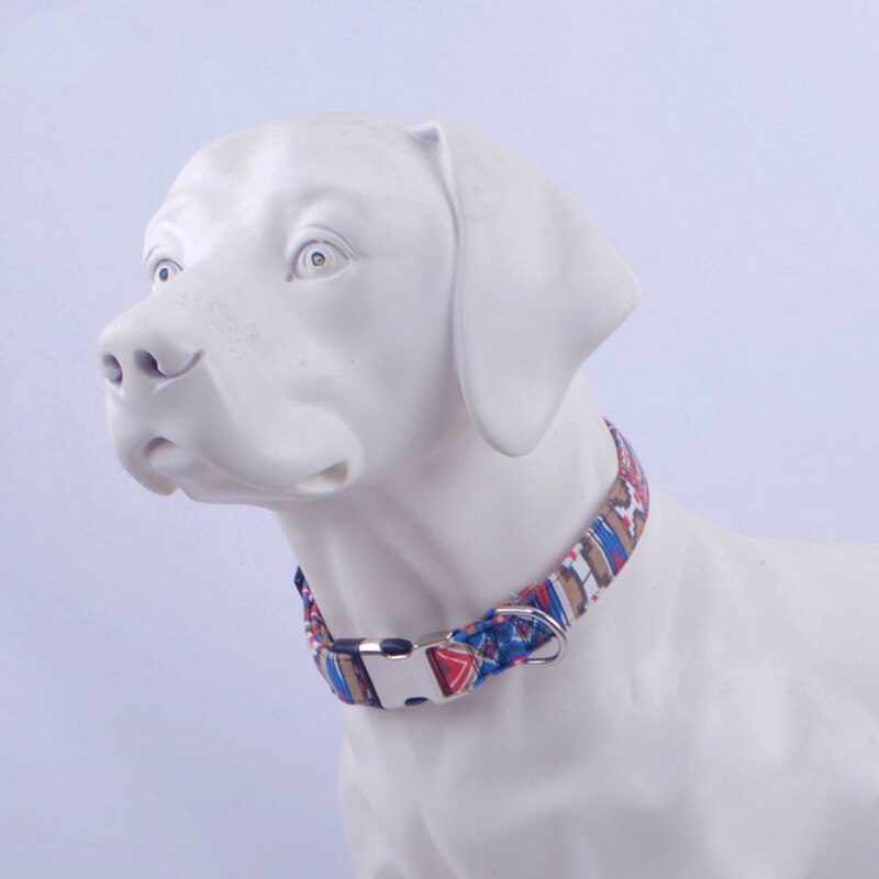 C4 Large Dog Collar