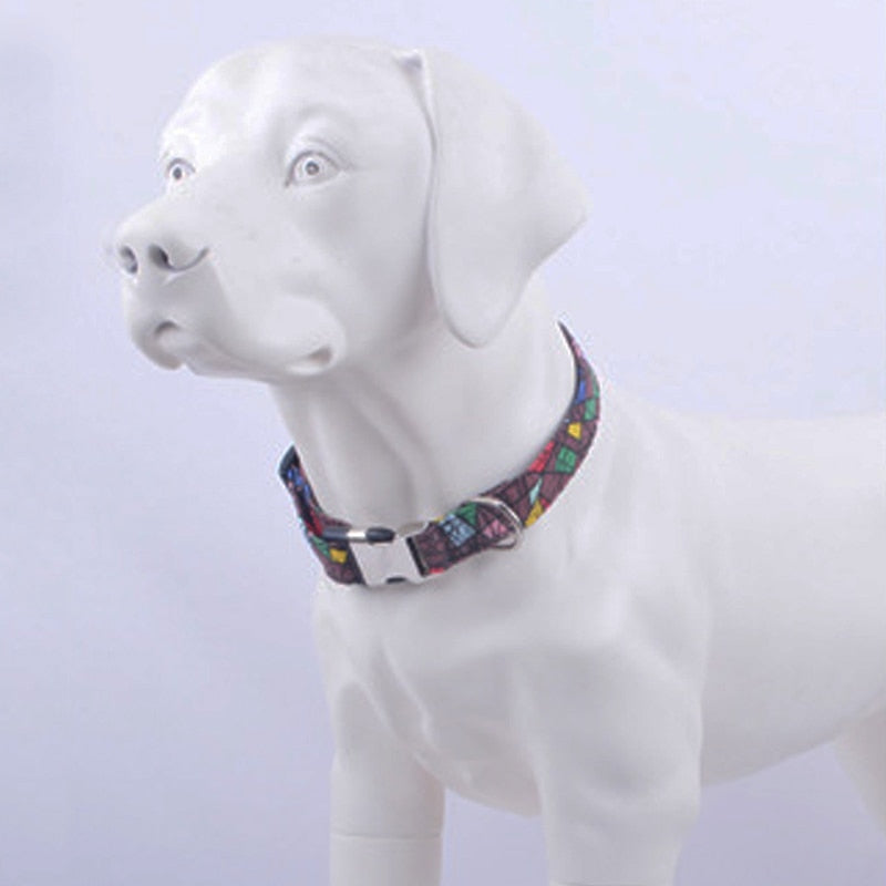 Edgy Dog Collar