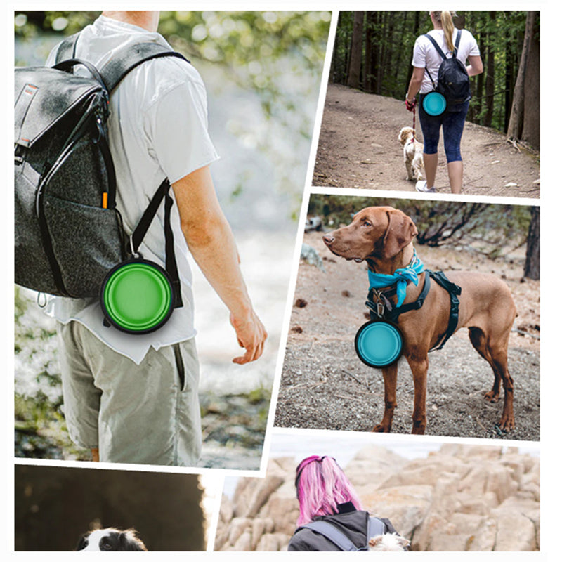 Portable Collapsible Pet Bowl